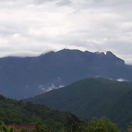 Casa Rariana Hotel Călimăneşti Kültér fotó