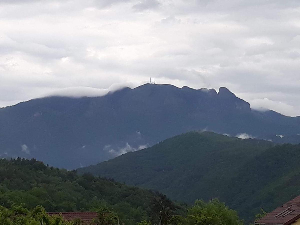 Casa Rariana Hotel Călimăneşti Kültér fotó
